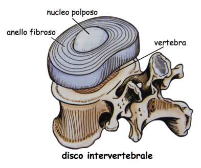 L’Importanza degli Oli Essenziali