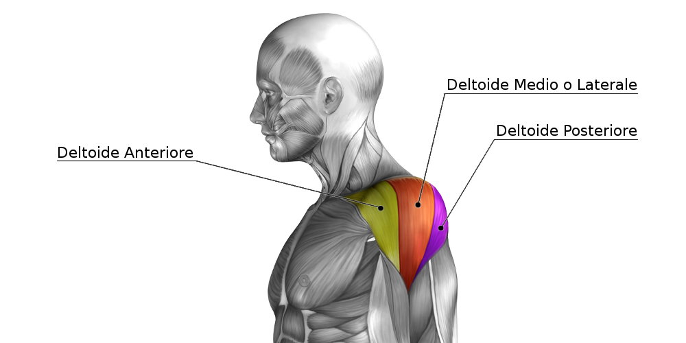 Tendinite del Popliteo